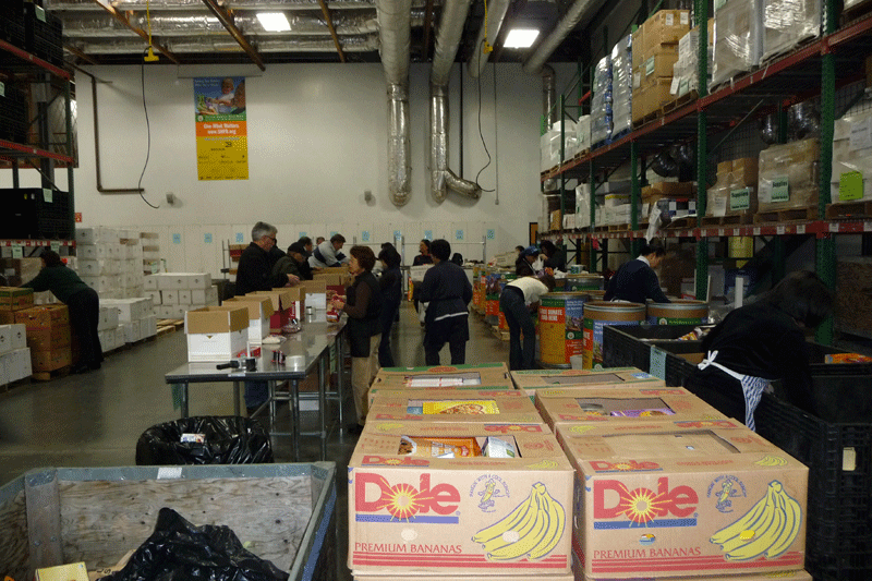 Sorting at Second Harvest Food Bank